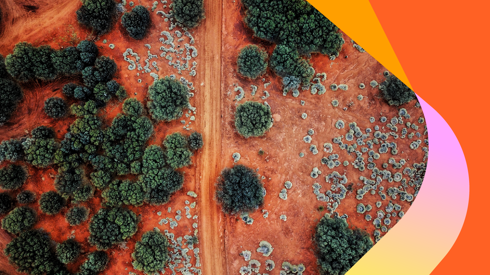 The electricity grid on Country:the First Nations heritage of where we&nbsp;work 