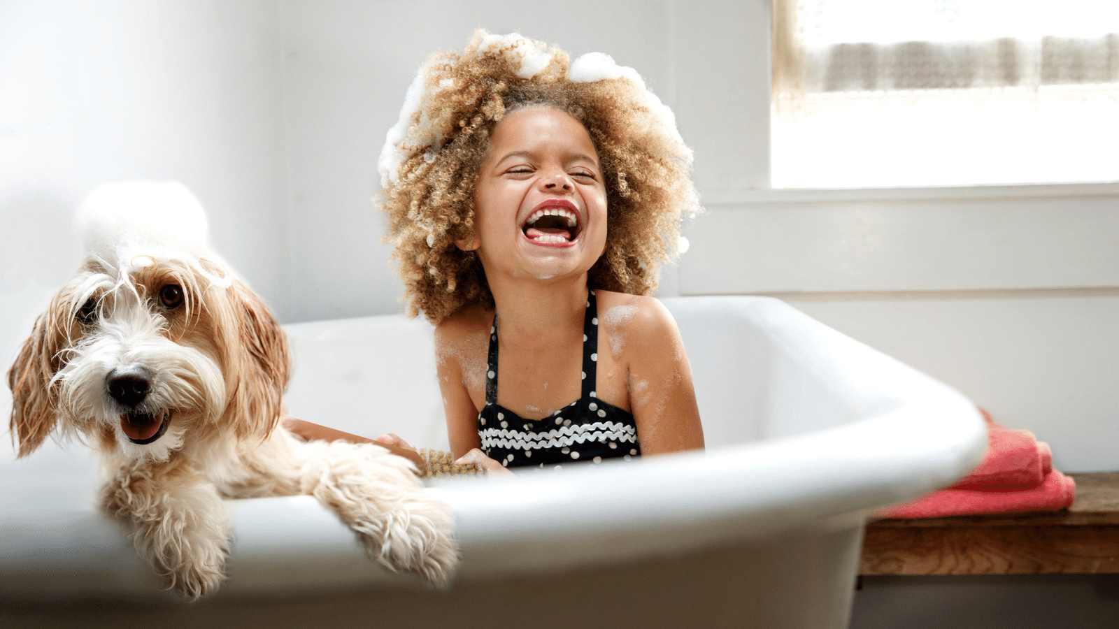 Need your hot water serviced? Origin has you covered The Origin Blog