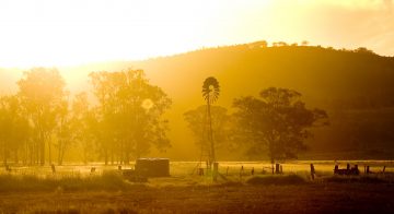 Origin’s Commitment To Climate Change