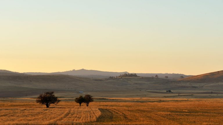 country tasmania tall