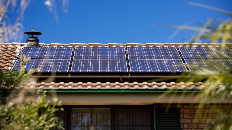 sustainability report 2015 solar panels tall