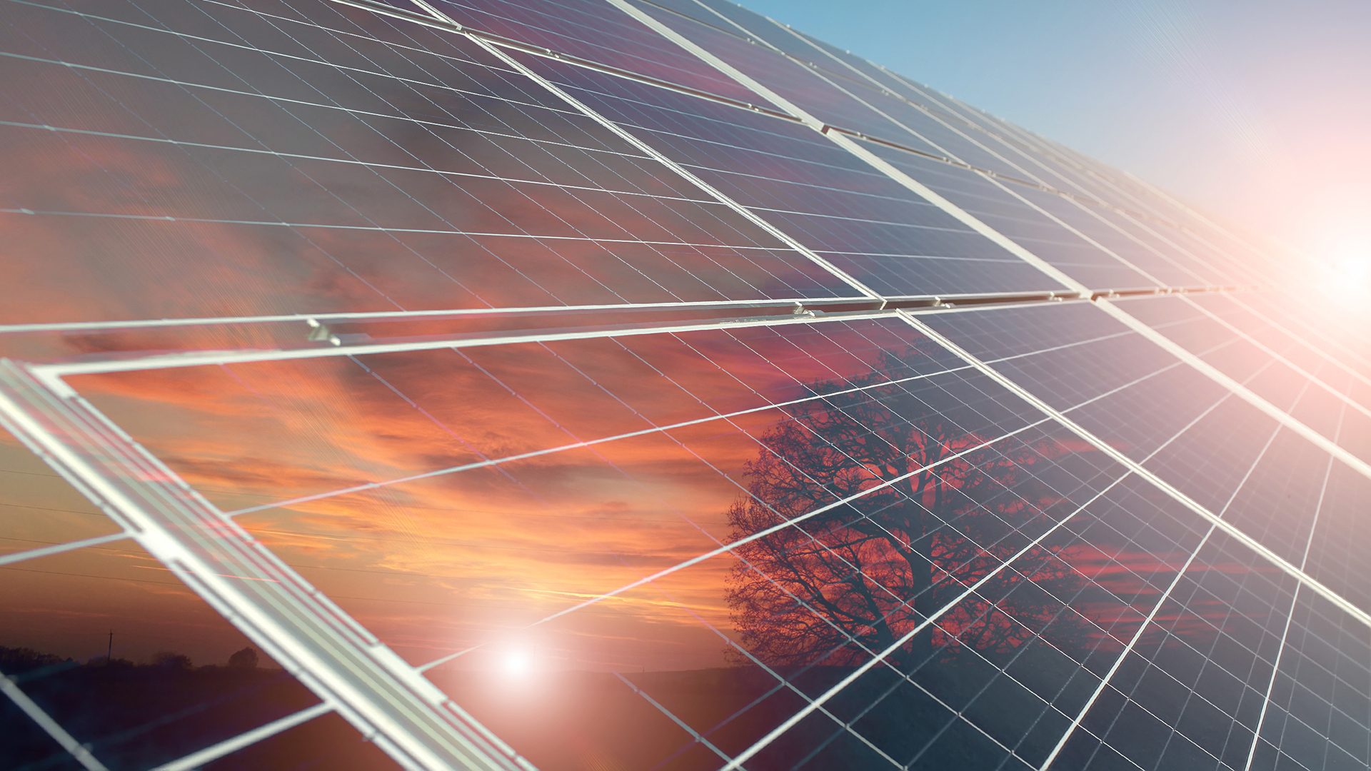 use for form business of home Renewable  Energy Origin Energy Microgrids &