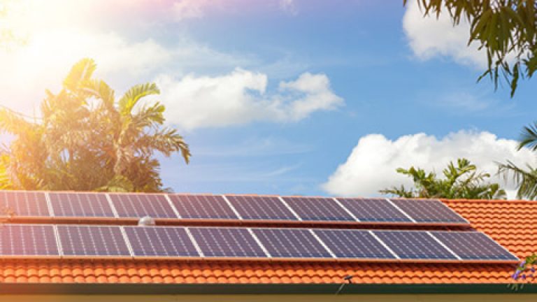 solar panels sun trees tall
