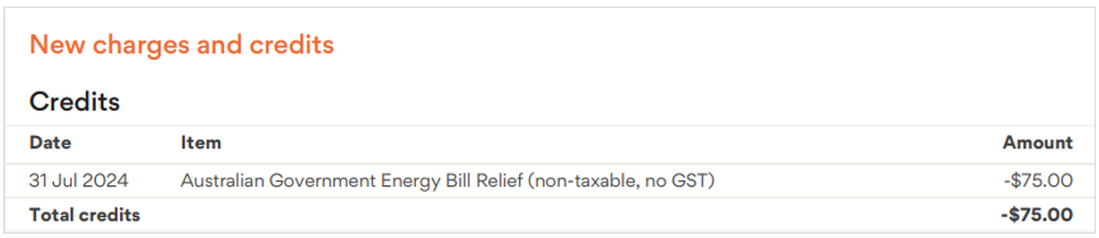 National Energy Bill Relief payment | Help & Support