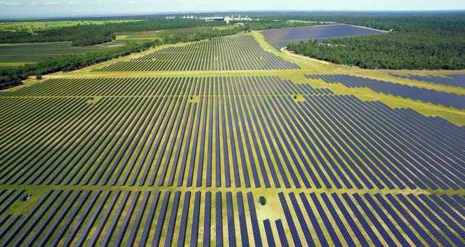 Image is of rows of solar panels at the Darling Downs Solar Farm